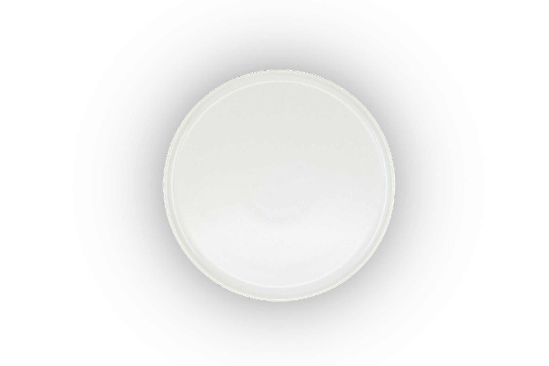 Dinner Plate